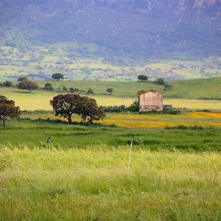 Janas Country 3*
